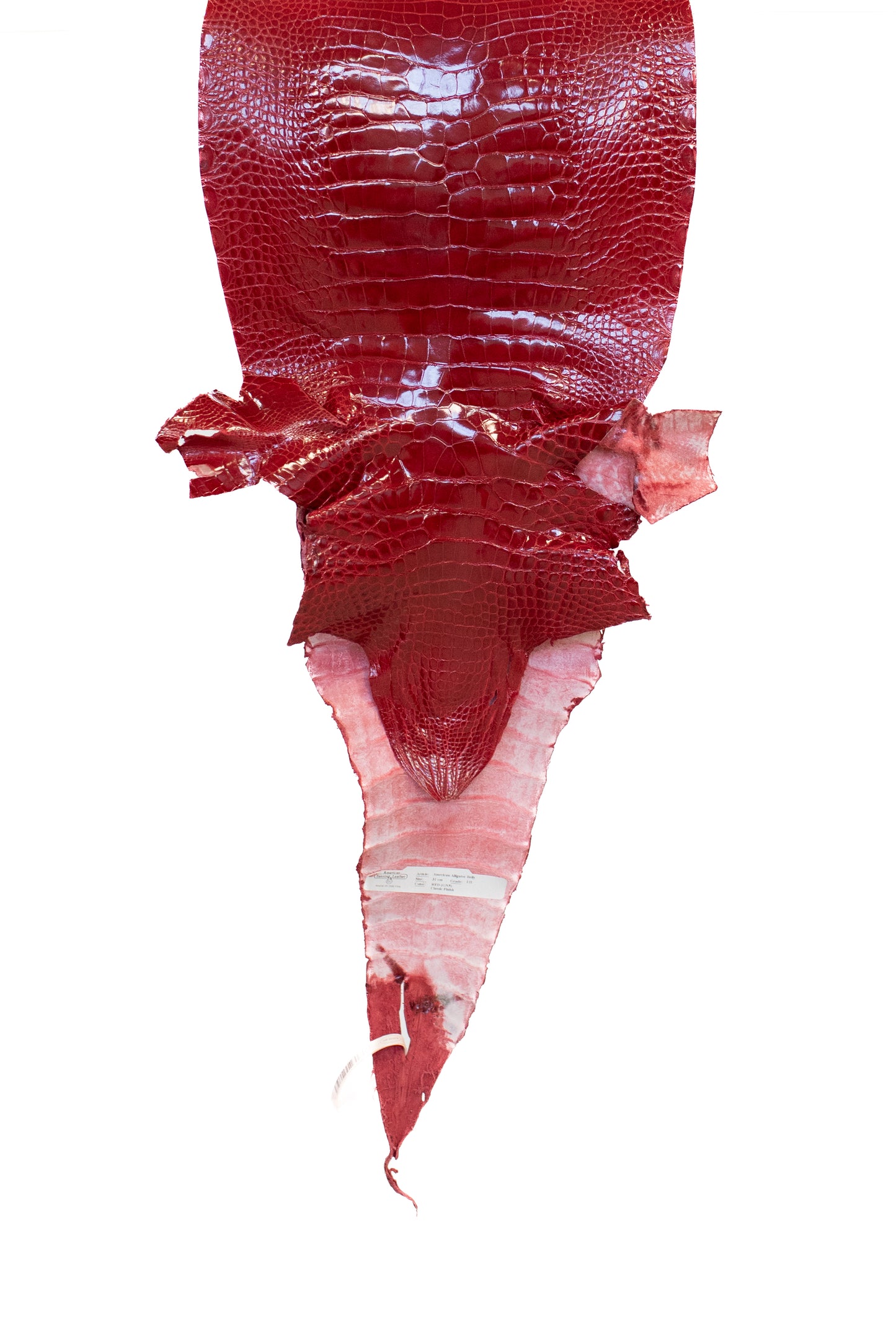 31 cm Grade 1/2 Red Glazed Farm American Alligator Leather - Tag: LA17-0274611