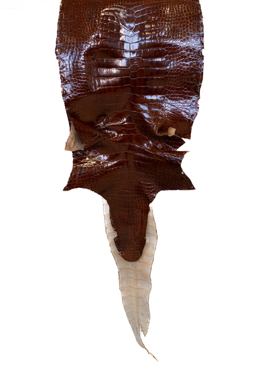 38 cm Grade 3/4 Bourbon Glazed Farm Raised American Alligator Leather - Tag: LA07-0538328