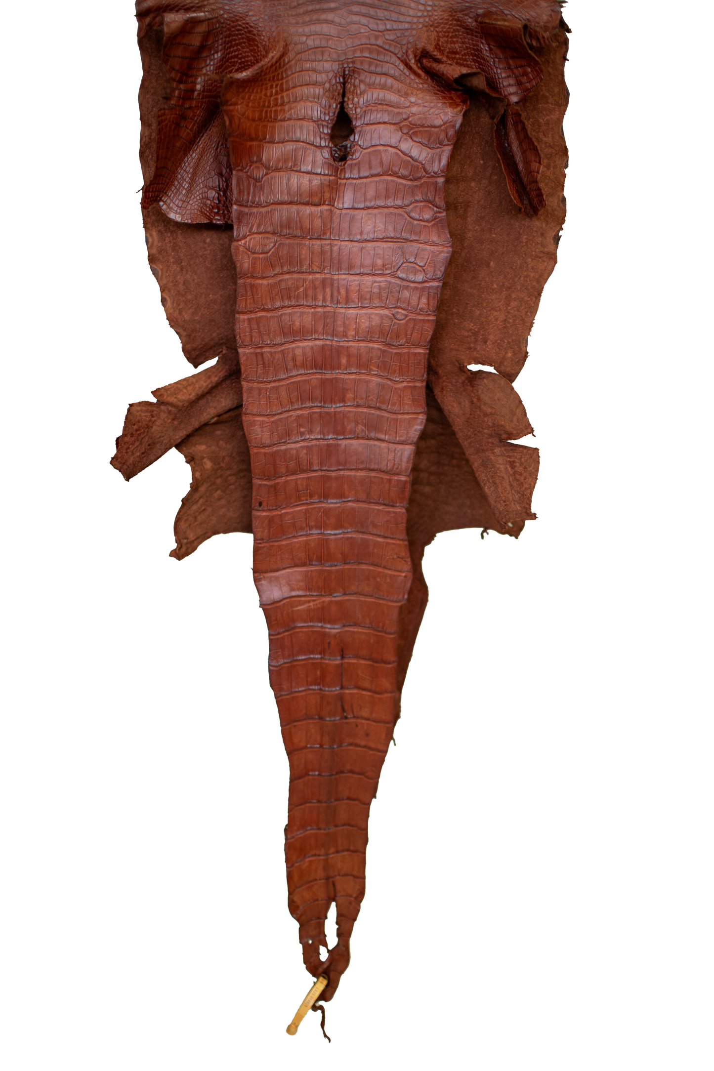 47 cm Grade 3/4 MS Cognac Matte Wild American Alligator Leather - Tag: LA23-0014925