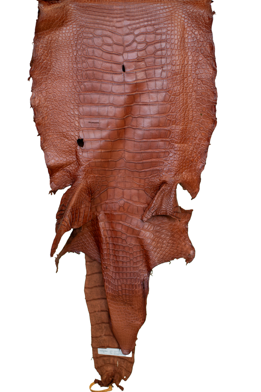 49 cm Grade 4/5 MS Cognac Matte Wild American Alligator Leather - Tag: LA23-0152076
