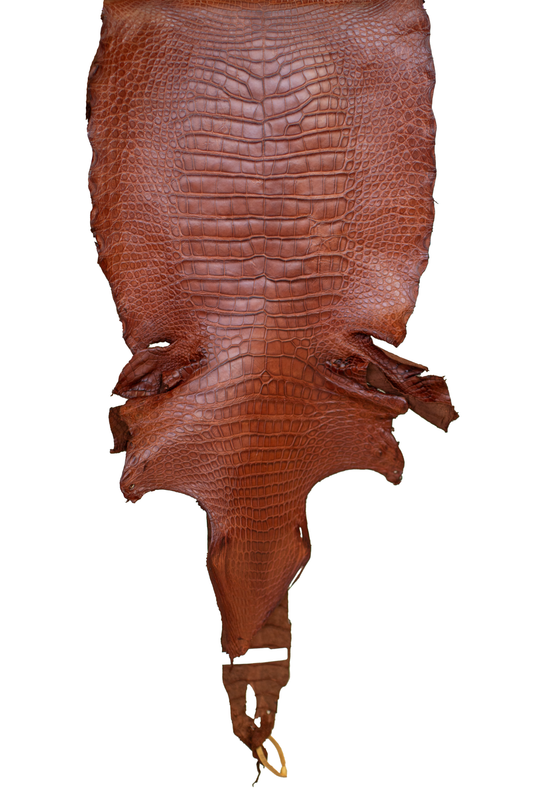 43 cm Grade 3/4 MS Cognac Matte Wild American Alligator Leather - Tag: LA23-0017301