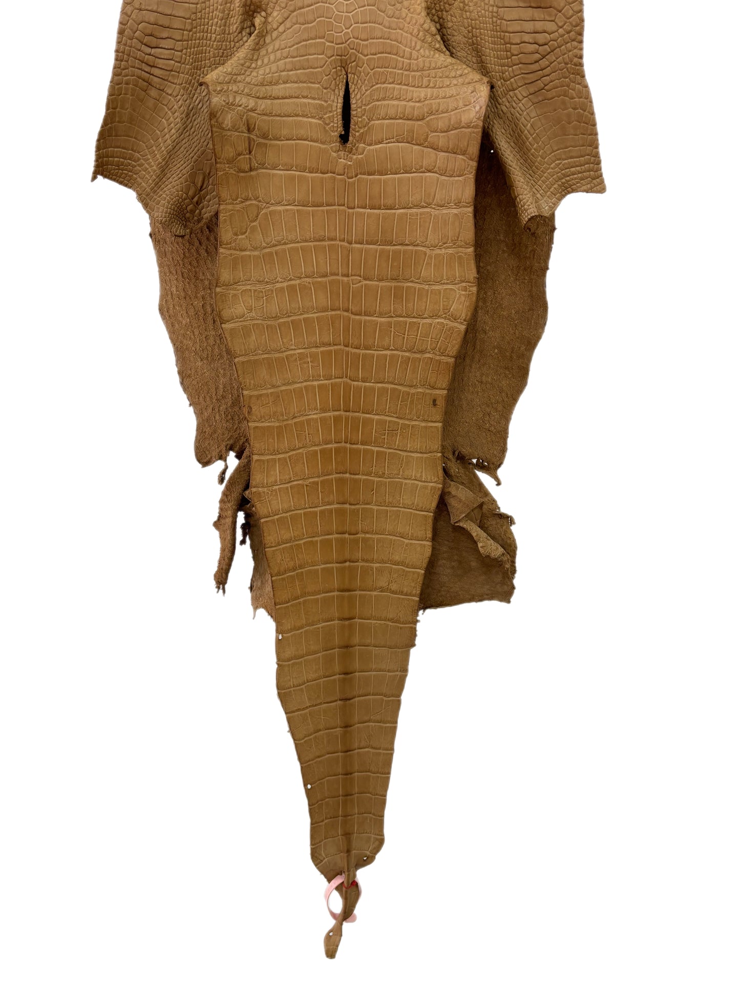 39 cm Grade 4/5 Antique Saddle Matte Wild American Alligator Leather - Tag: LA18-0033284