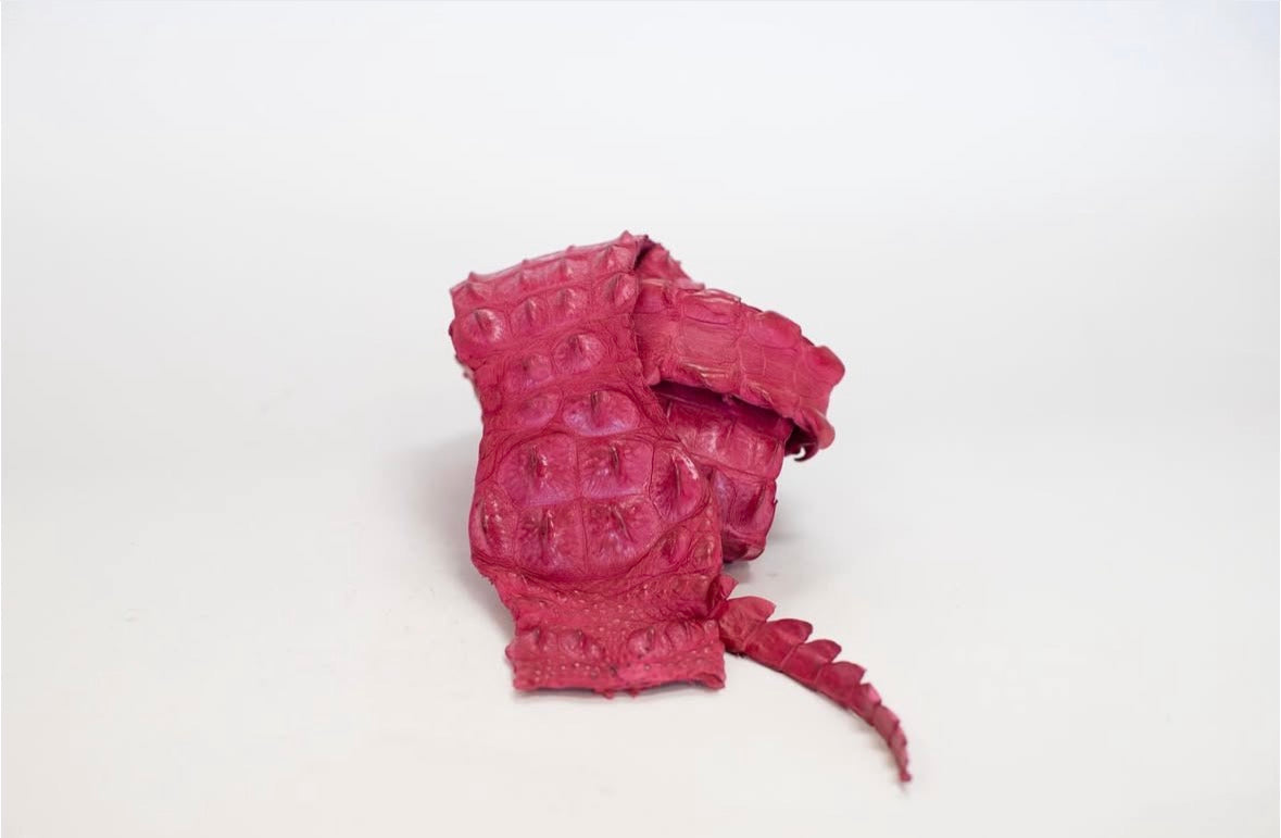 90-99 Cm Grade 1 Bright Pink Matte Nile Crocodile Backstrap Leather