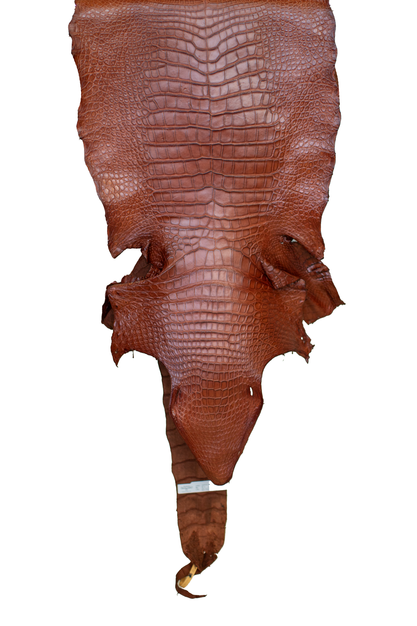 48 cm Grade 3/4 MS Cognac Matte Wild American Alligator Leather - Tag: LA23-0003285