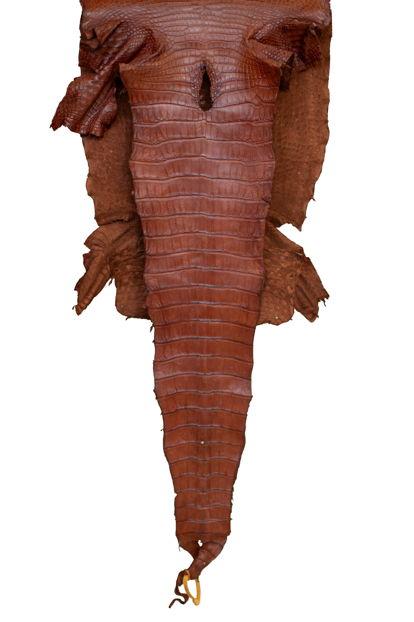 47 cm Grade 2/3 MS Cognac Matte Wild American Alligator Leather - Tag: LA23-0038905