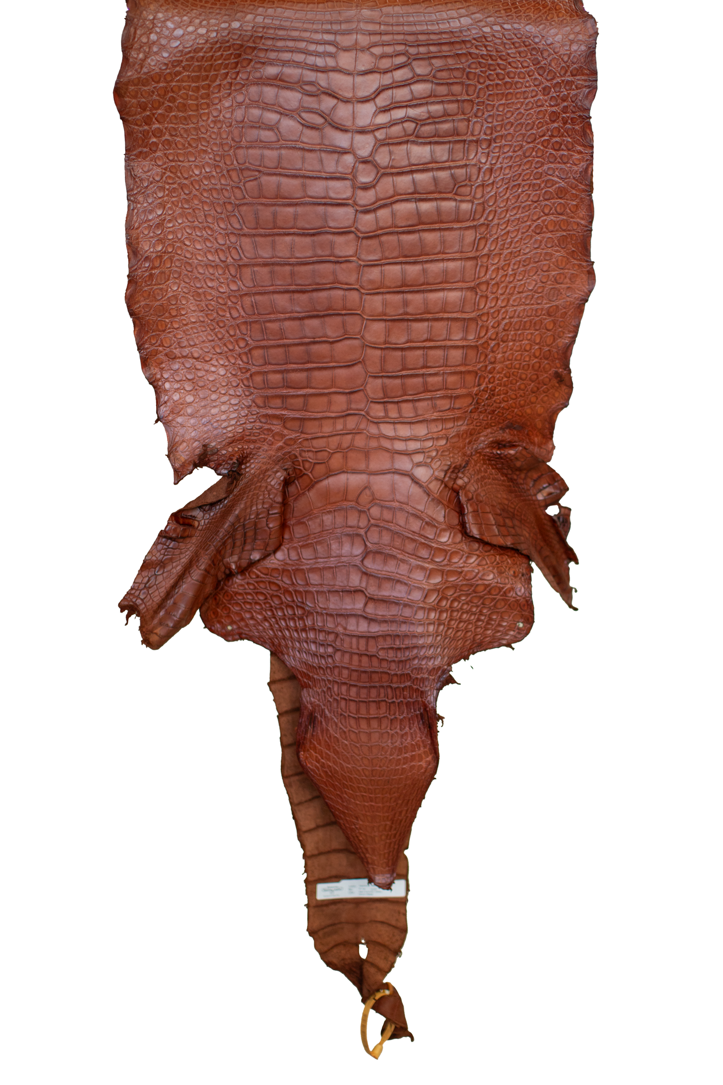 47 cm Grade 2/3 MS Cognac Matte Wild American Alligator Leather - Tag: LA23-0038905