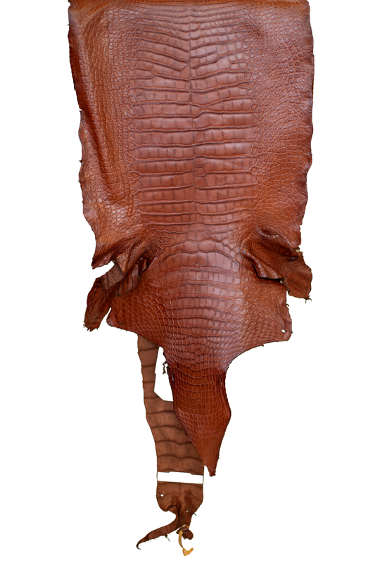 48 cm Grade 2/3 MS Cognac Matte Wild American Alligator Leather - Tag: LA23-0038944