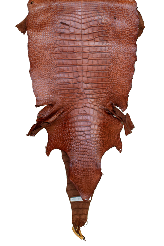 49 cm Grade 3/4 MS Cognac Matte Wild American Alligator Leather - Tag: LA23-0005151