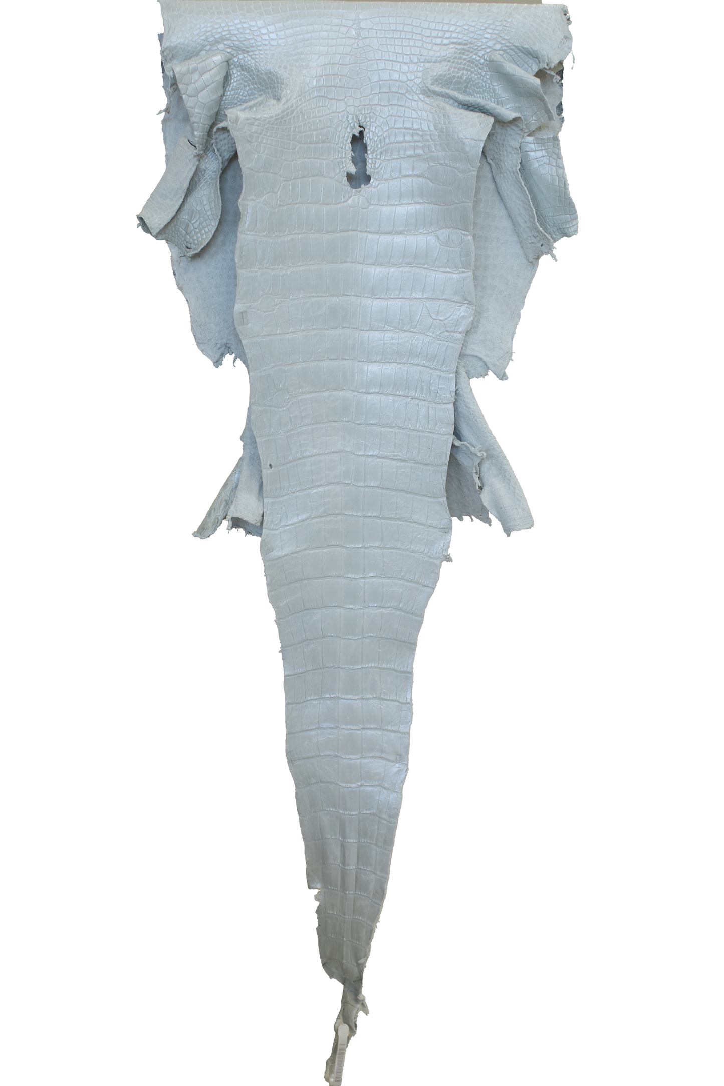 41 cm Grade 1/2 White Pearl Matte Wild American Alligator Leather - Tag: LA23-0000088
