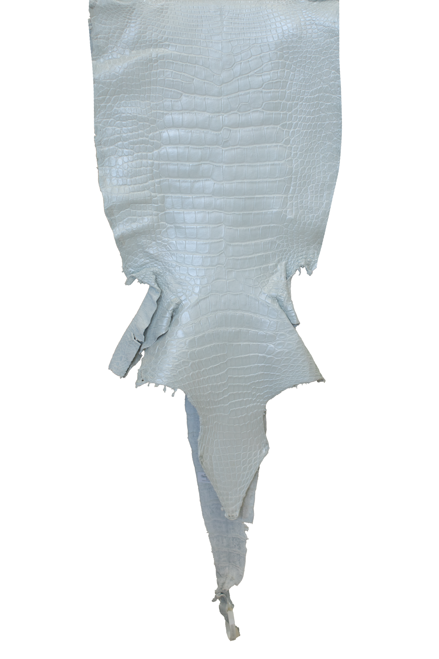 41 cm Grade 1/2 White Pearl Matte Wild American Alligator Leather - Tag: LA23-0000088