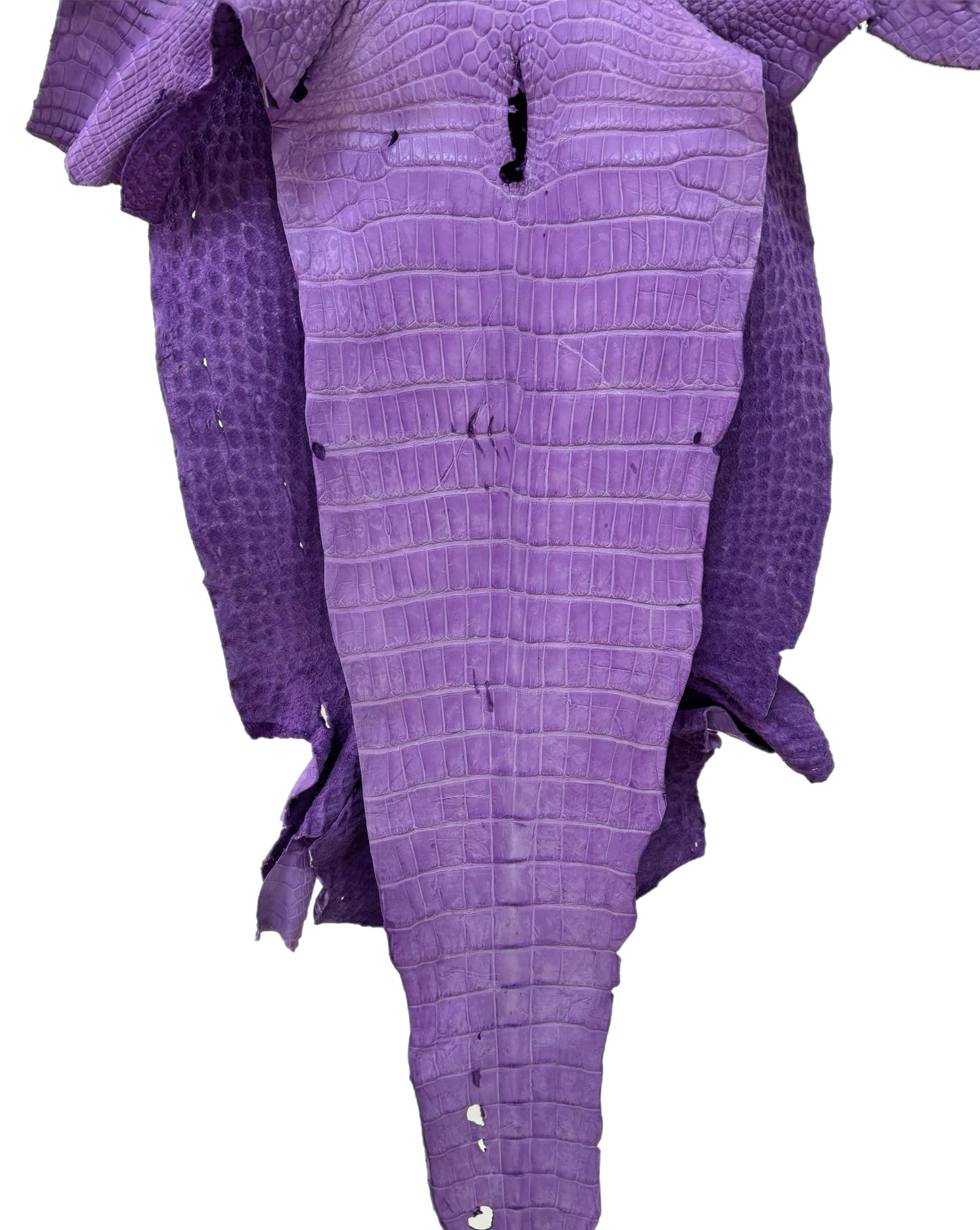38 cm Grade 4/5 Lavender Jade Desert Wild American Alligator Leather - Tag: LA23-0003561