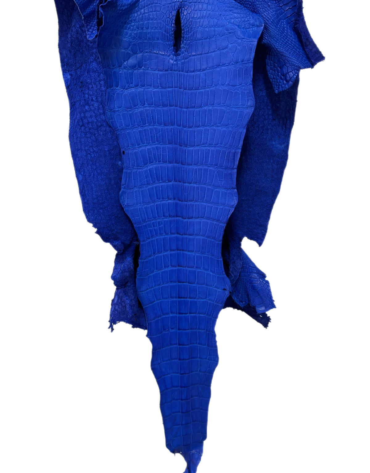 45 cm Grade 4/5 Royal Blue Matte Wild American Alligator Leather - Tag: LA23-0048239