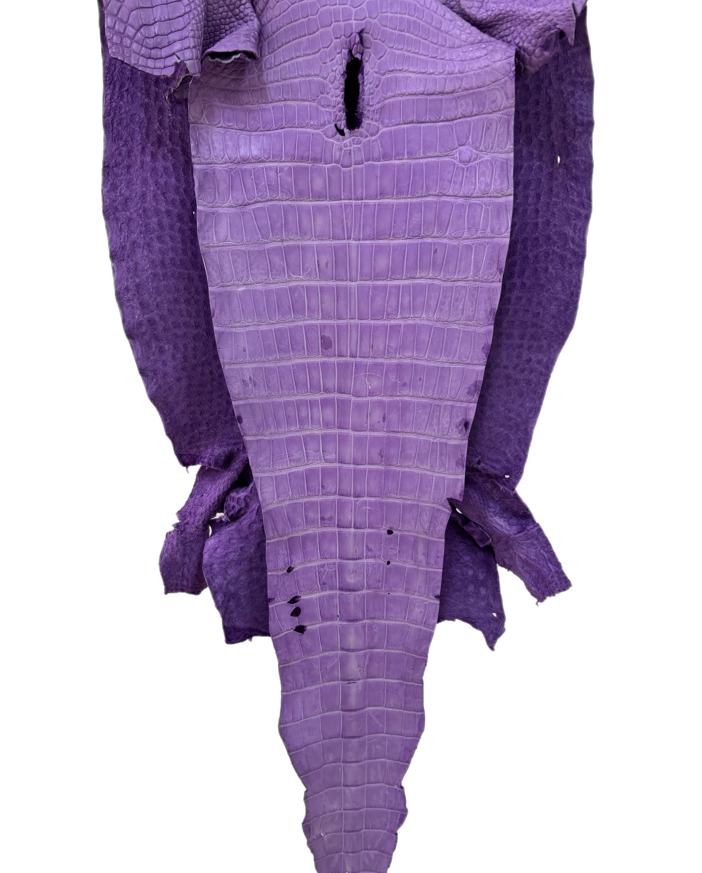45 cm Grade 3/4 Lavender Jade Desert Wild American Alligator Leather - Tag: LA23-0024828