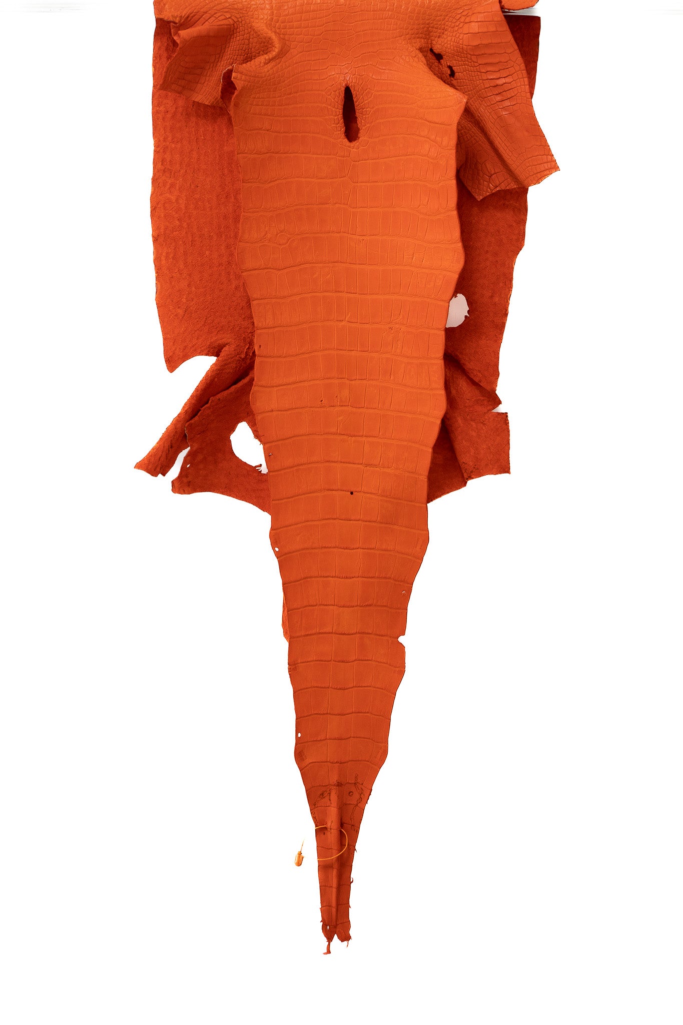 50 cm Grade 2/3 Orange Primavera Matte Wild American Alligator Leather - Tag: LA18-0019377