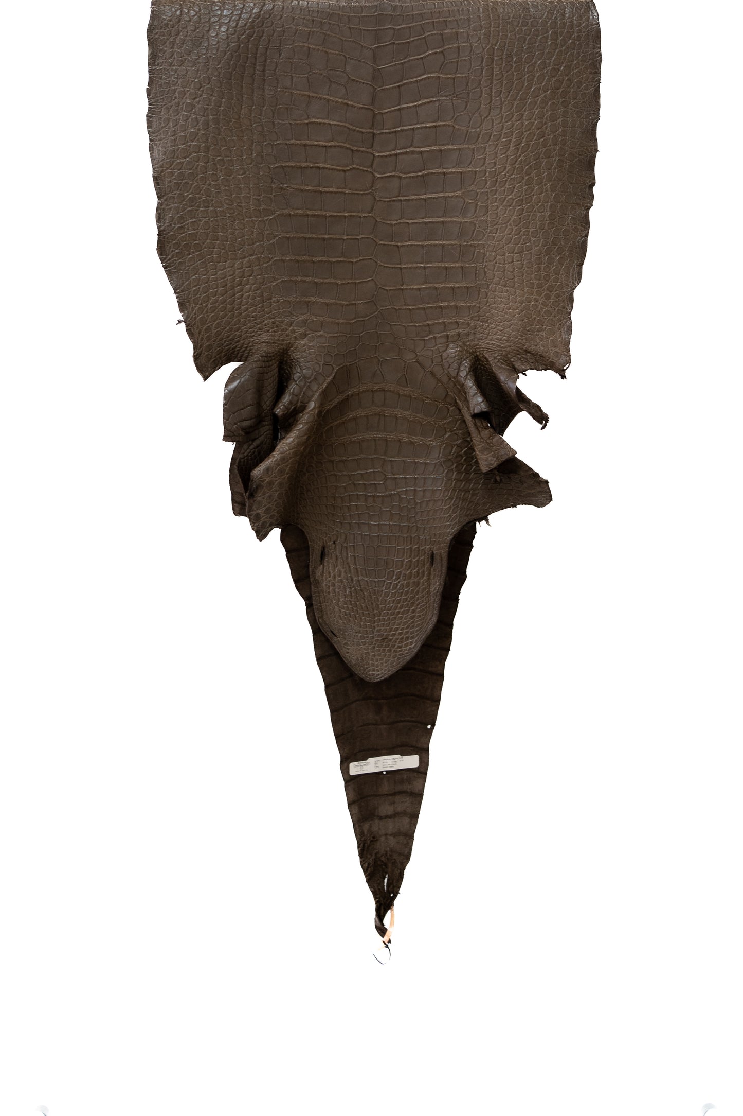 59 cm Grade 2/3 Miller Matte Wild American Alligator Leather - Tag: LA18-0019761