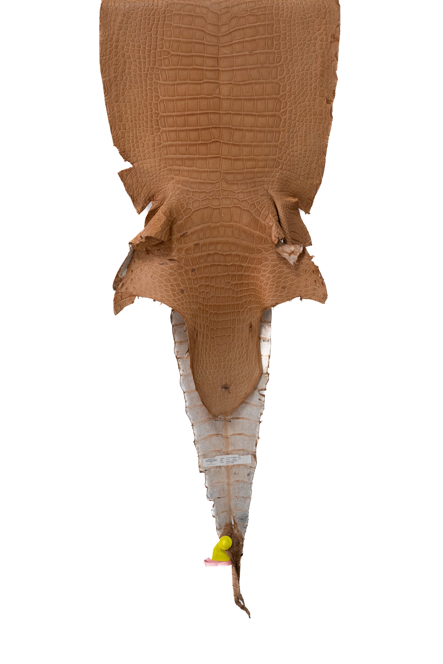 46 cm Grade 2/3 Rose Gold Matte Wild American Alligator Leather - Tag: LA15-0031718