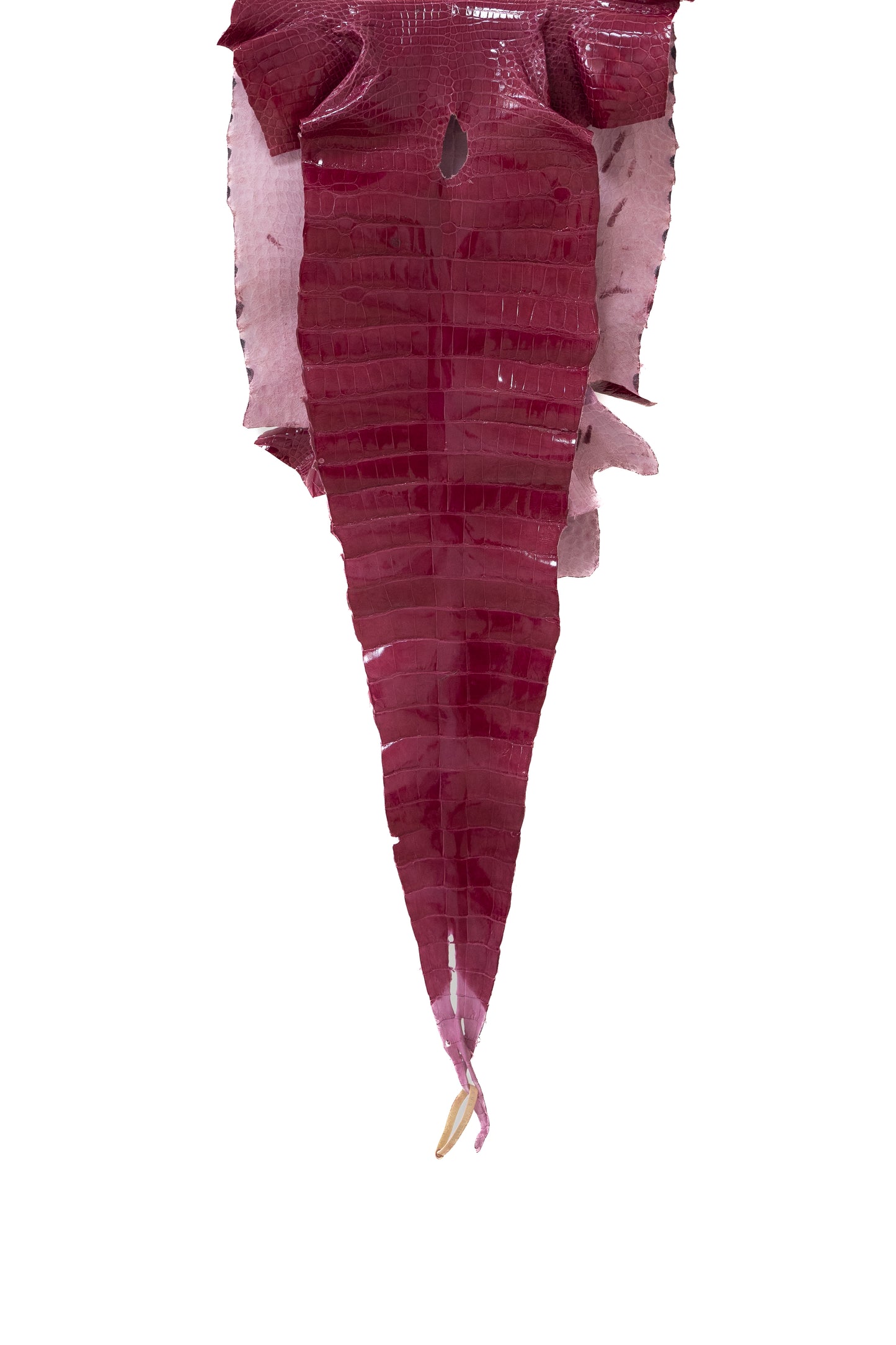 44 cm Grade 2/3 Fuchsia Glazed Wild American Alligator Leather - Tag: LA16-0026209