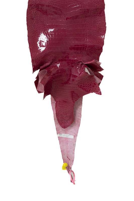 44 cm Grade 2/3 Fuchsia Glazed Wild American Alligator Leather - Tag: LA15-0051223