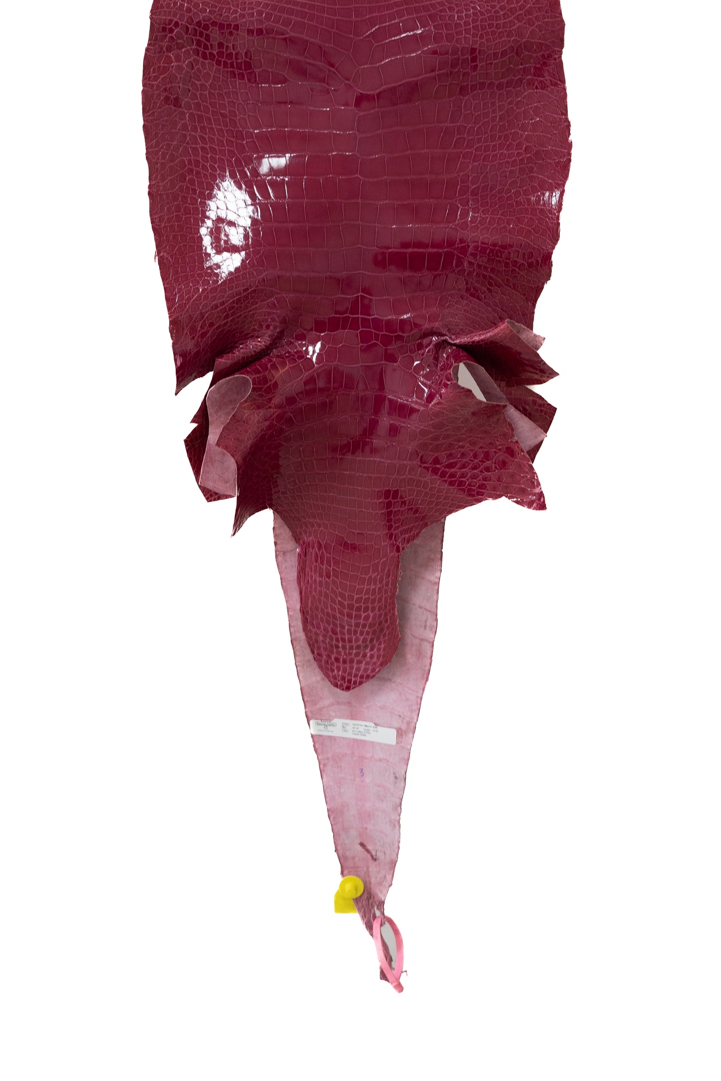 44 cm Grade 2/3 Fuchsia Glazed Wild American Alligator Leather - Tag: LA15-0051223