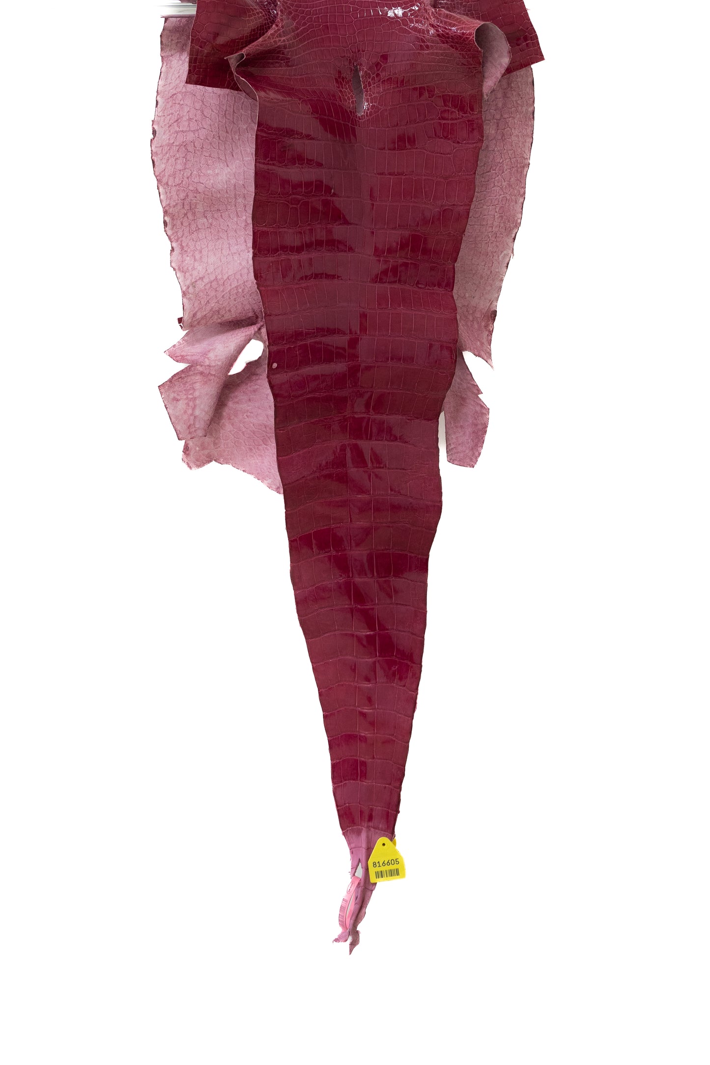 44 cm Grade 2/3 Fuchsia Glazed Wild American Alligator Leather - Tag: LA15-0051223