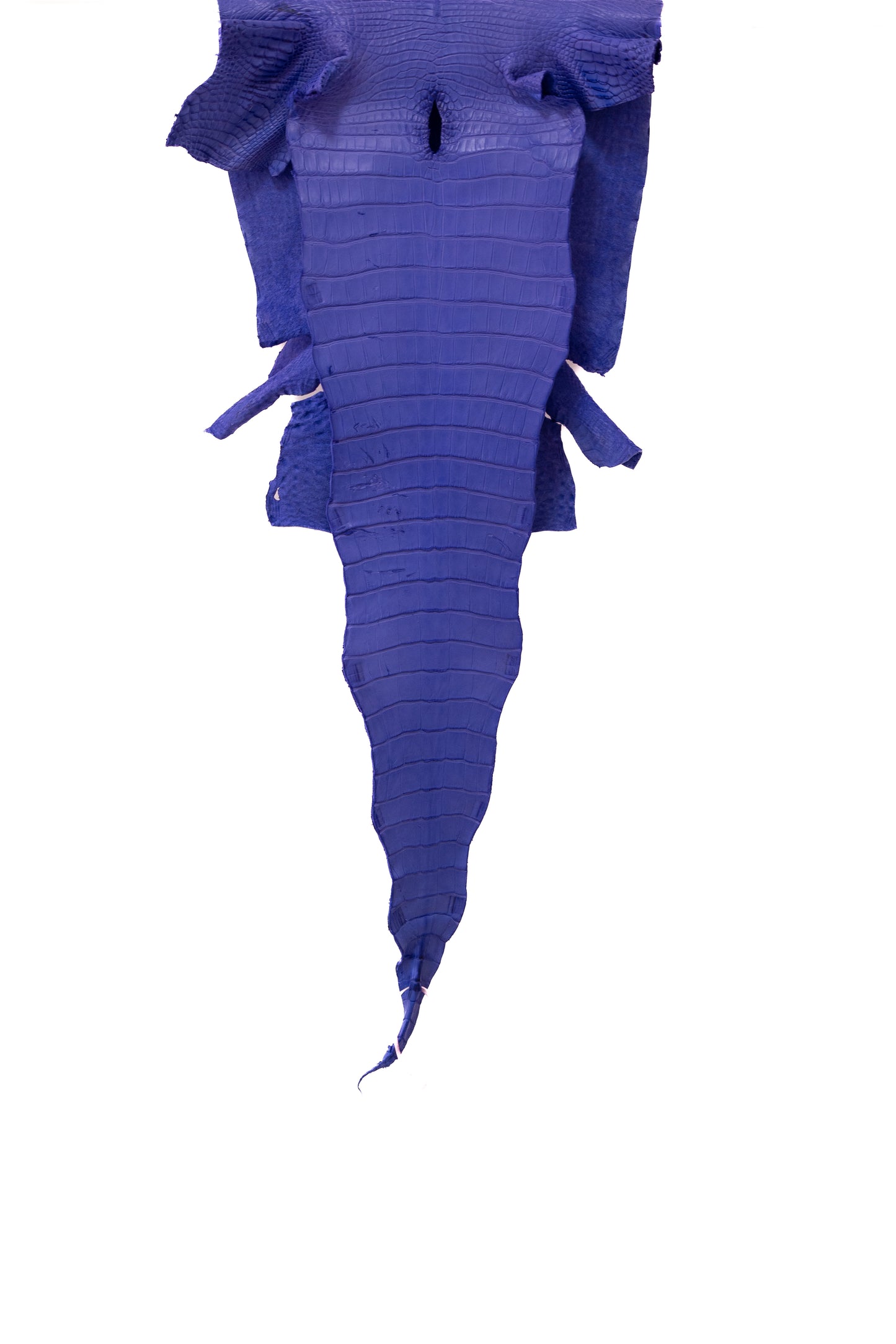 36 cm Grade 1/2 Airspace Matte Farm Raised American Alligator Leather - Tag: FL17-0036350