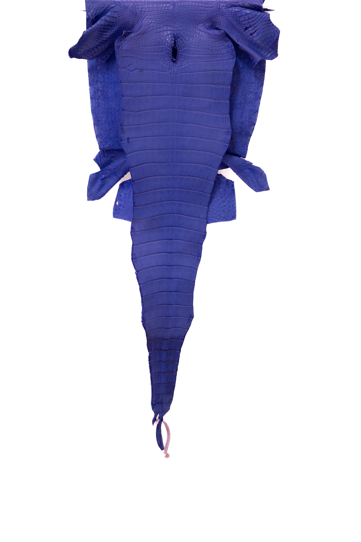 36 cm Grade 1/2 Airspace Matte Farm Raised American Alligator Leather - Tag: FL17-0036788