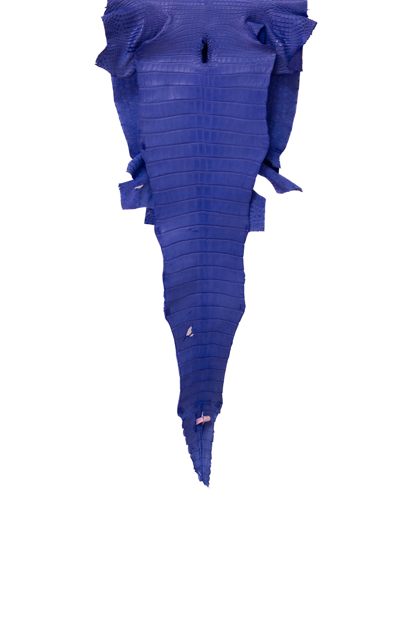 38 cm Grade 1/2 Airspace Matte Farm Raised American Alligator Leather - Tag: FL17-0036630