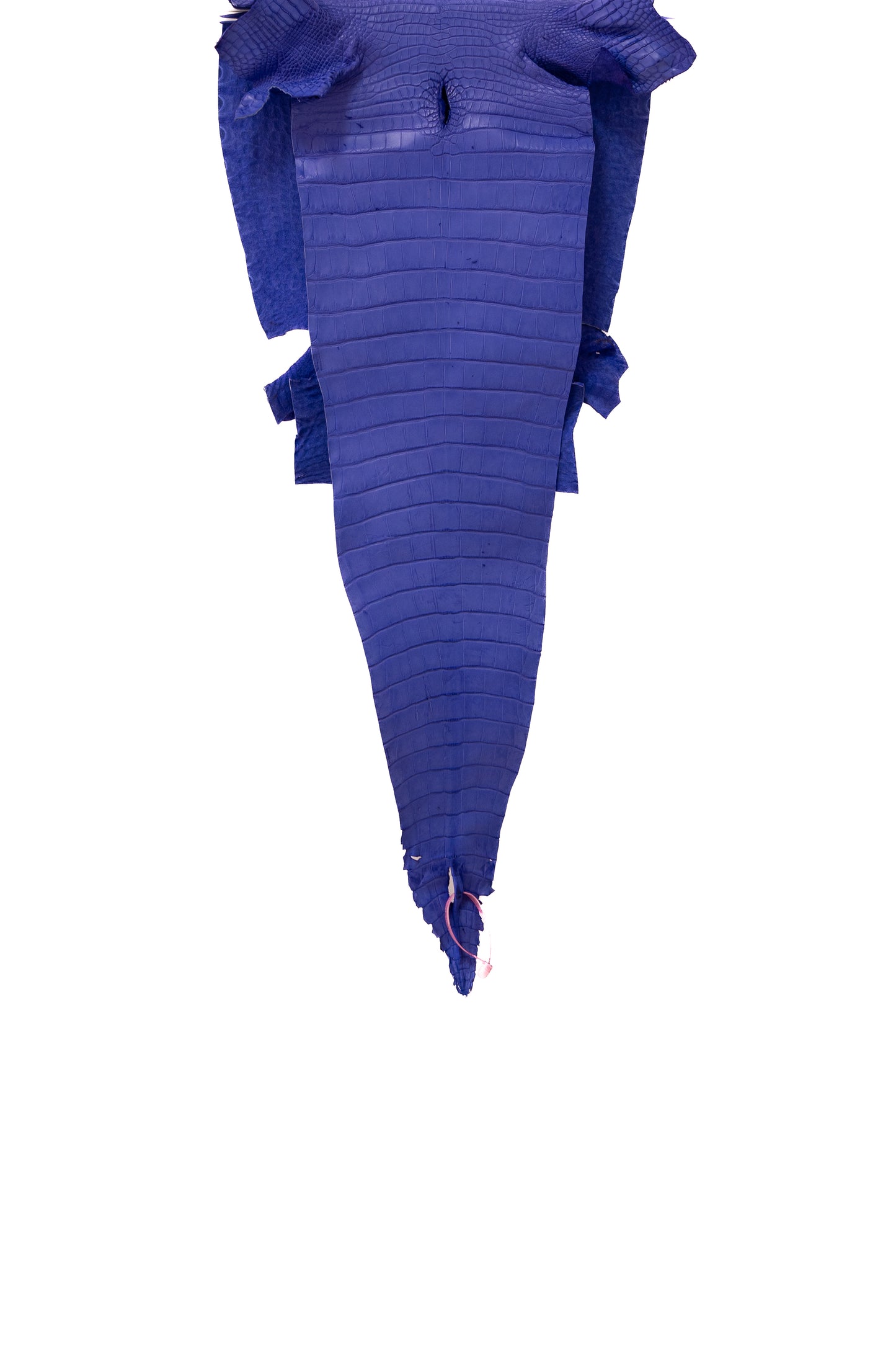 39 cm Grade 3/4 Airspace Matte Farm Raised American Alligator Leather - Tag: FL18-0034504