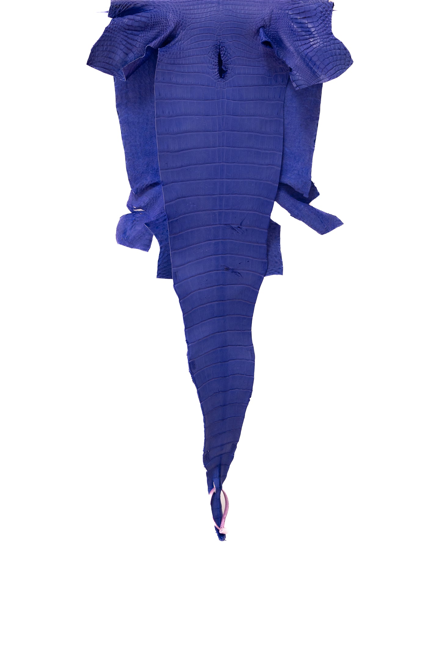 35 cm Grade 2/3 Airspace Matte Farm Raised American Alligator Leather - Tag: FL17-0036955