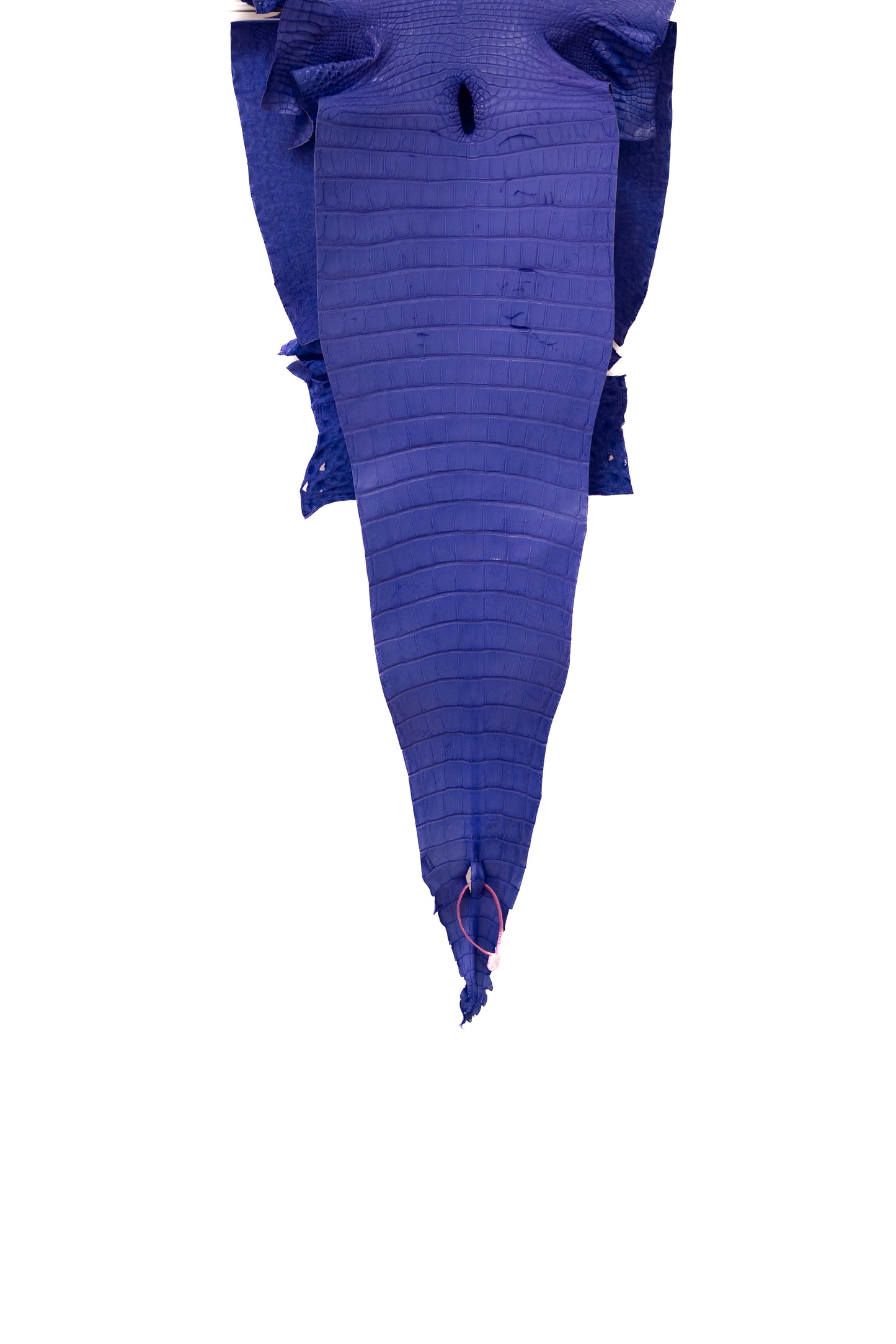 40 cm Grade 2/3 Airspace Matte Farm Raised American Alligator Leather - Tag: FL18-0034890