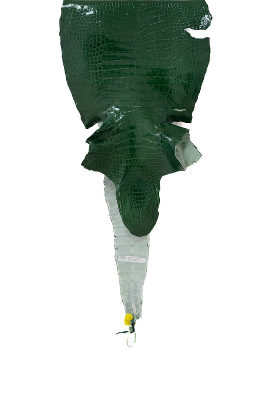 49 cm Grade 3/4 Grass Green Glazed Wild American Alligator Leather - Tag: LA14-0014048