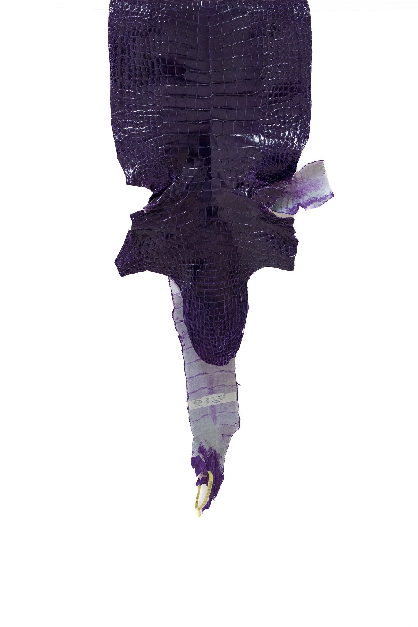 37 cm Grade 2/3 Amethyst Glazed Wild American Alligator Leather - Tag: LA19-0036259