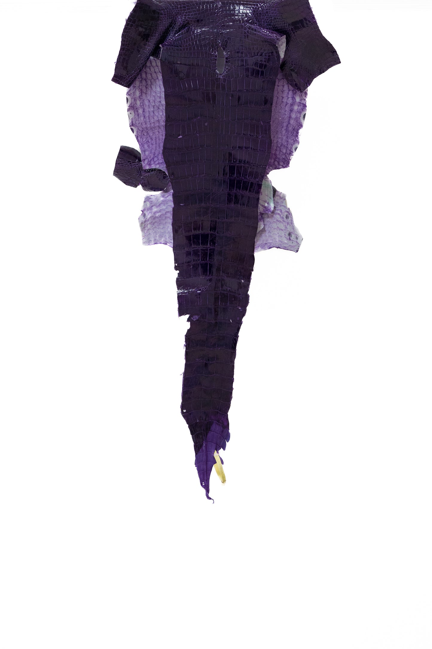 37 cm Grade 2/3 Amethyst Glazed Wild American Alligator Leather - Tag: LA19-0036259