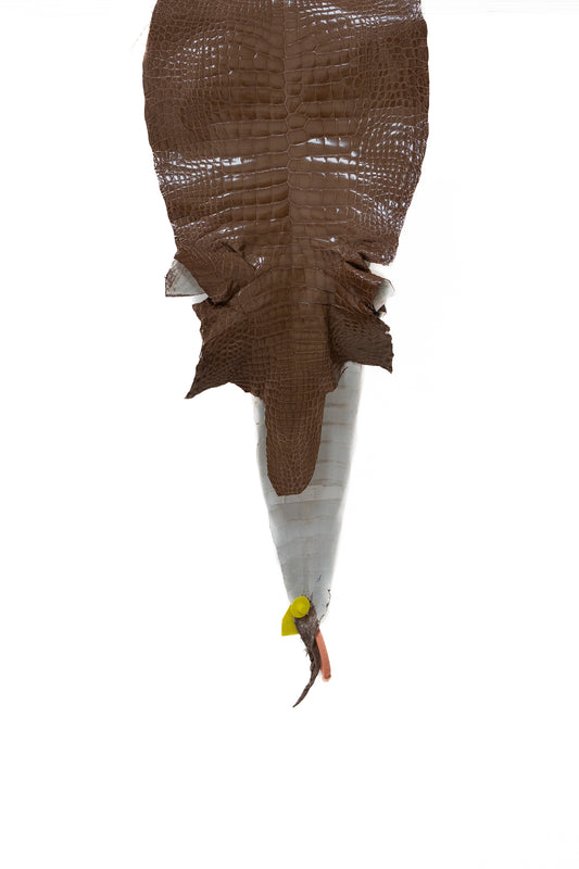 35 cm Grade 1/2 Rosewood Glazed Wild American Alligator Leather - Tag: LA15-0018089