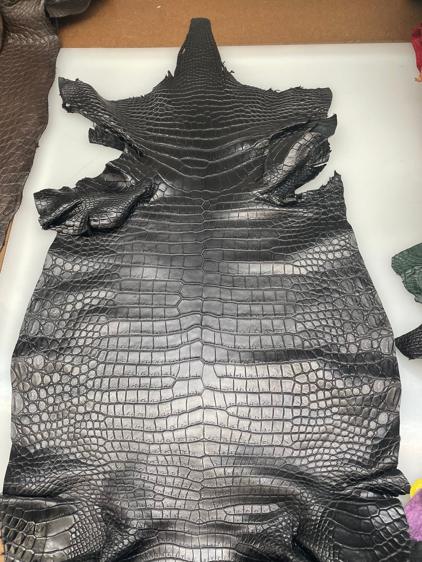 39 cm Grade 2/3 Black Garment Saltwater Crocodile Leather - Tag: PG17-15708