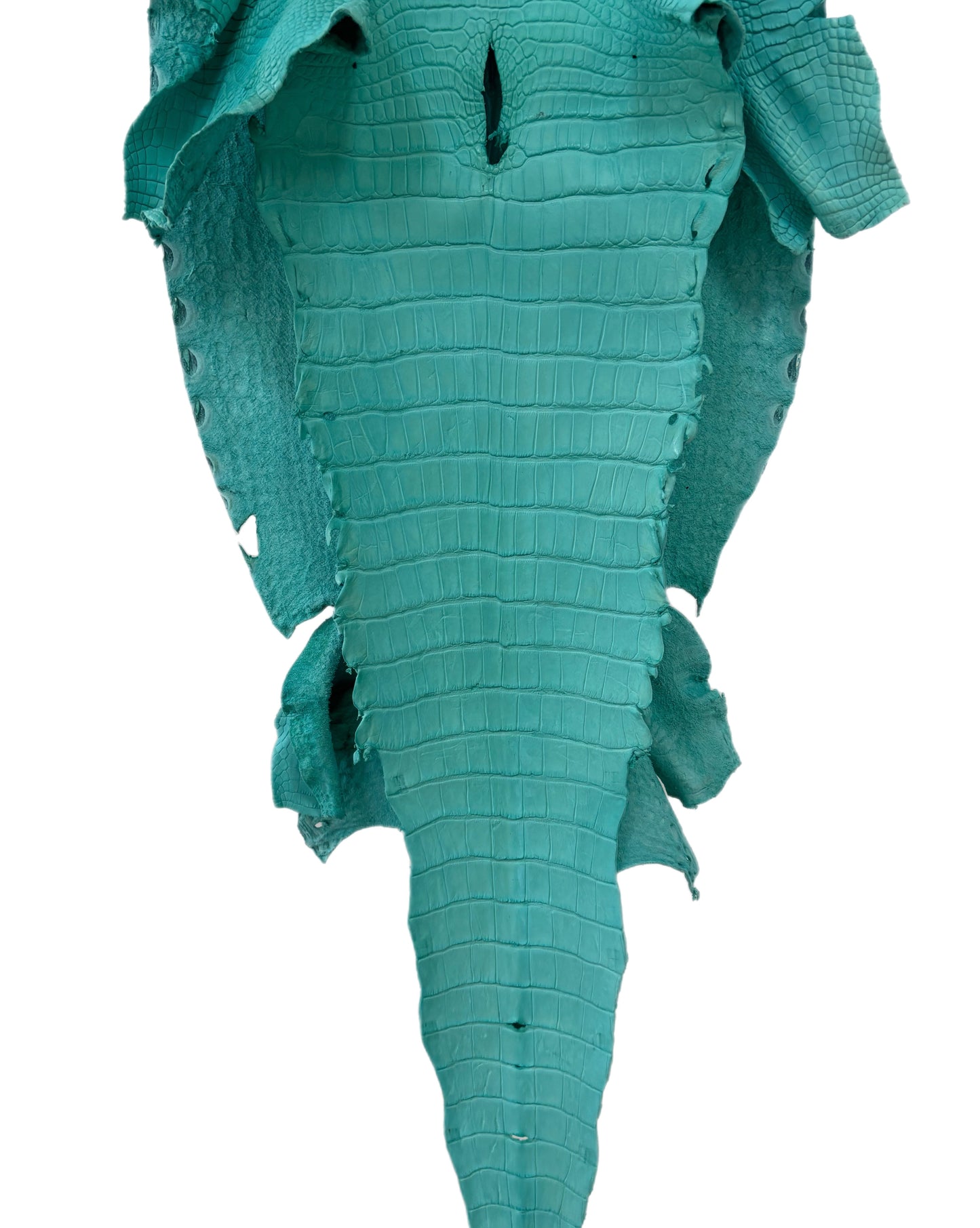 41 cm Grade 3/4 Seafoam Matte Wild American Alligator Leather - Tag: LA23-0003288