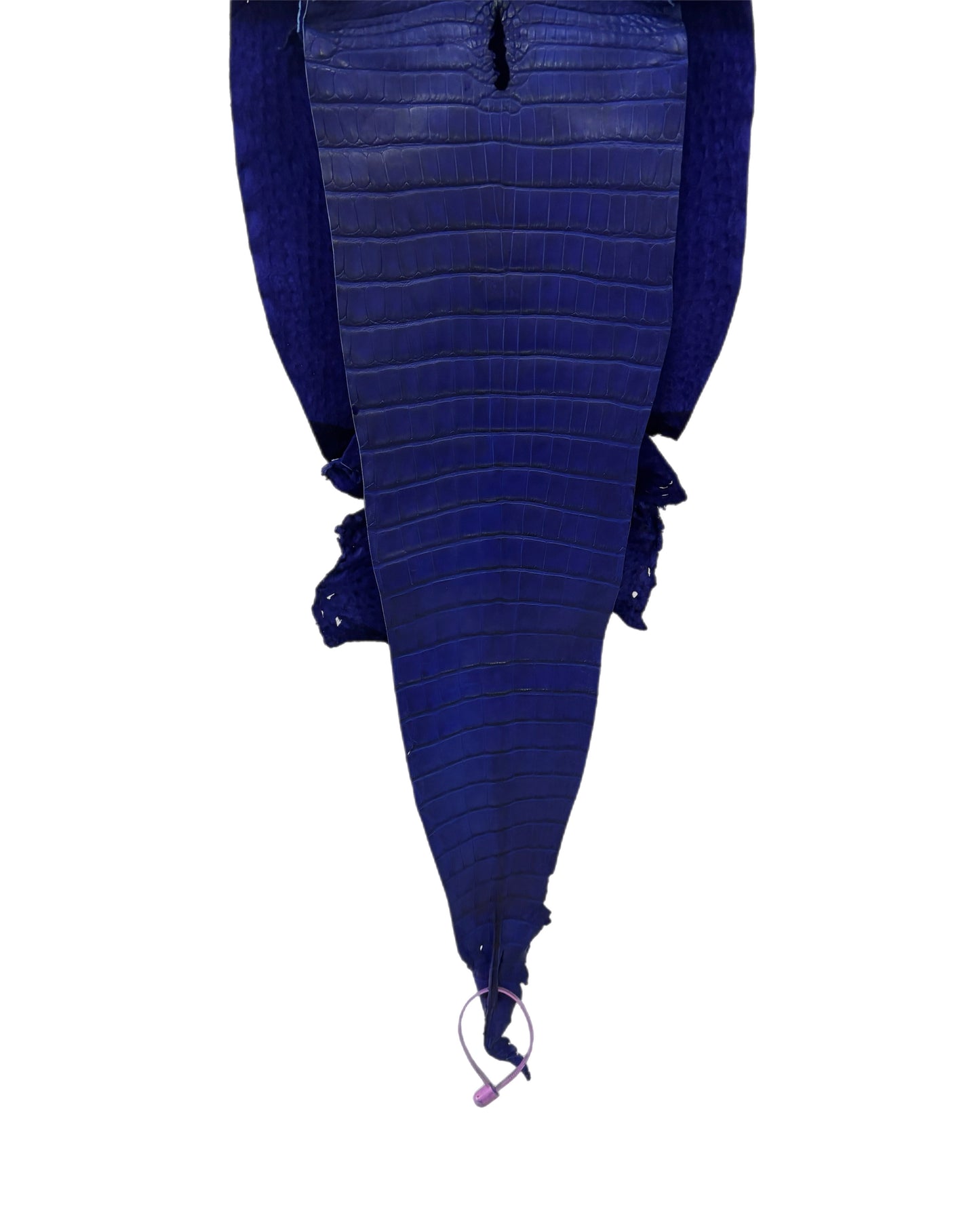 26 cm Grade 4/5 Cobalt Blue Matte Farm-Raised American Alligator Leather - Tag: FL21-0024951