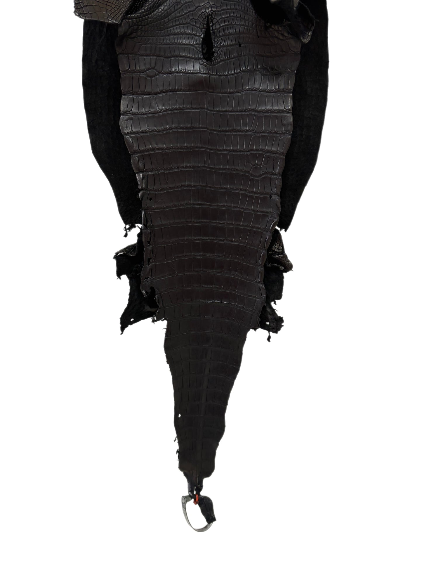 31 cm Grade 2/3 Black Matte Farm-Raised American Alligator Leather - Tag: LA23-0531089