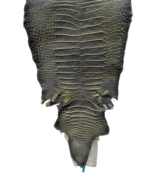 35 cm Grade 2/3 Voltage Matte Wild American Alligator Leather - Tag: ESRE-0033814