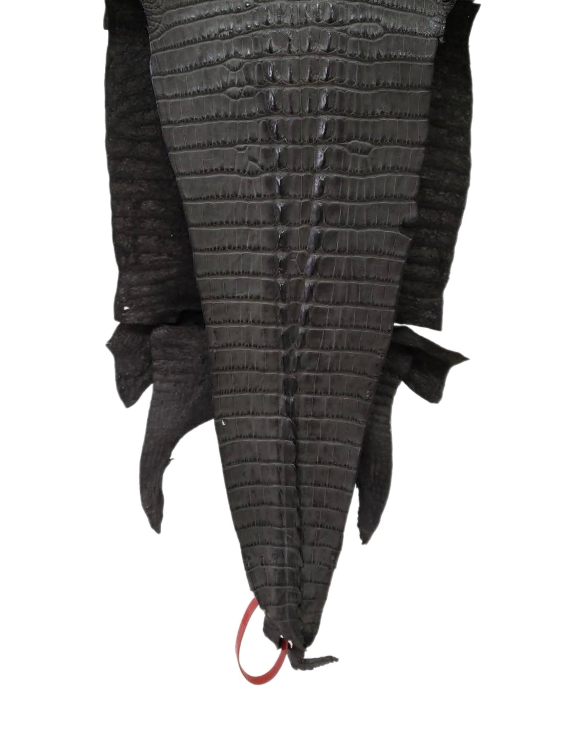 27 cm Grade 2/3 Charcoal Grey Matte Farm-Raised American Alligator Hornback Leather - Tag: LA04-0238637