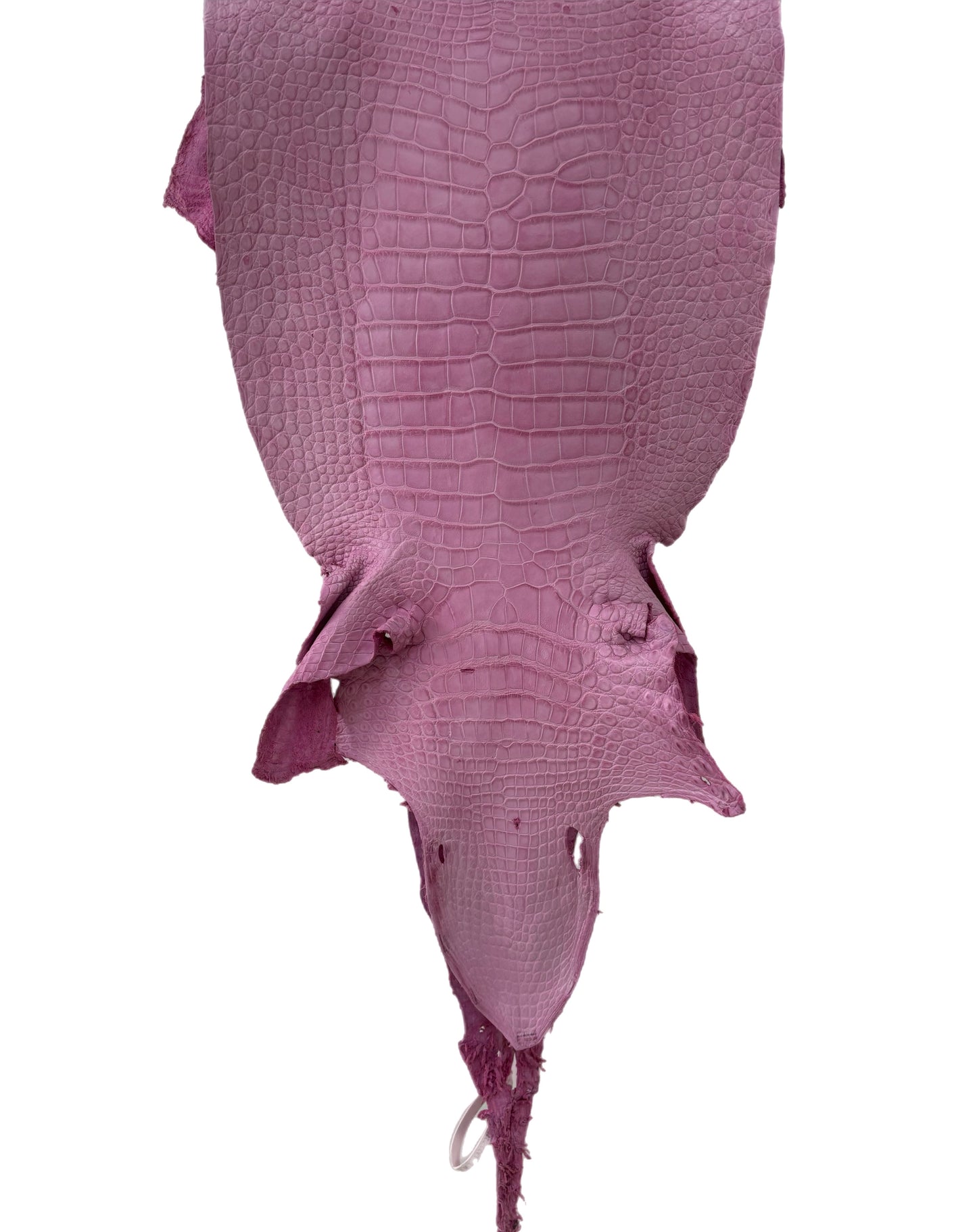 35 cm Grade 2/3 Cotton Candy Matte Wild American Alligator Leather - Tag: LA23-0027088