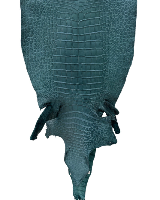 43 cm Grade 3/4 Teal Matte Wild American Alligator Leather - Tag: LA23-0003549