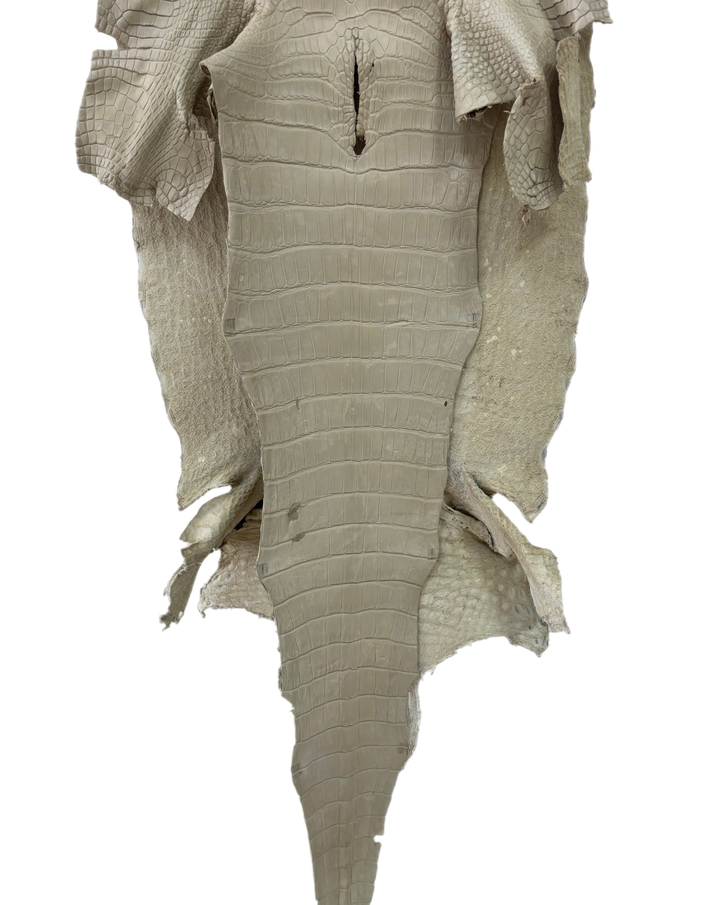 44 cm Grade 2/3 Dune Matte Wild American Alligator Leather - Tag: LA23-0000654