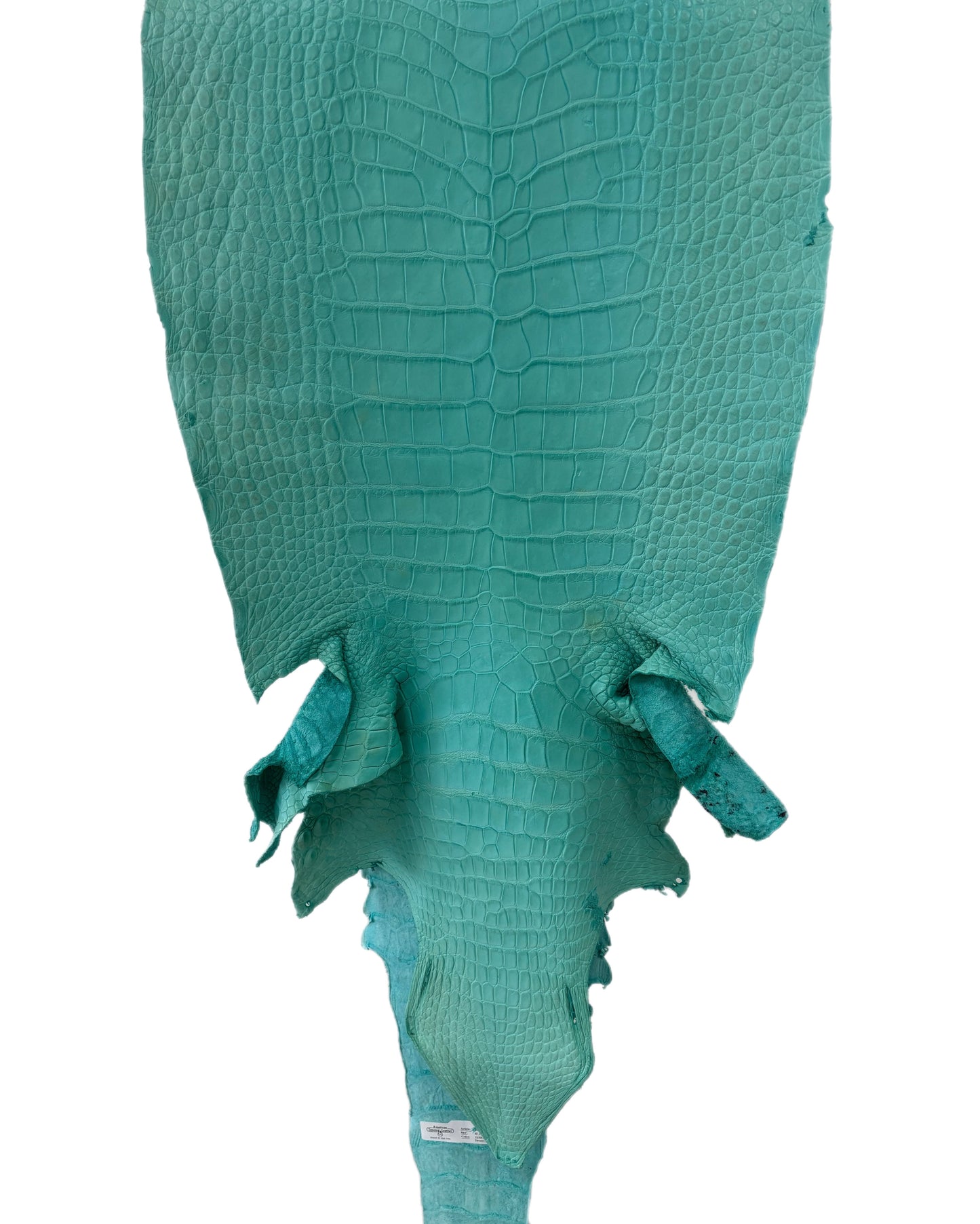 42 cm Grade 2/3 Seafoam Matte Wild American Alligator Leather - Tag: LA23-0000785