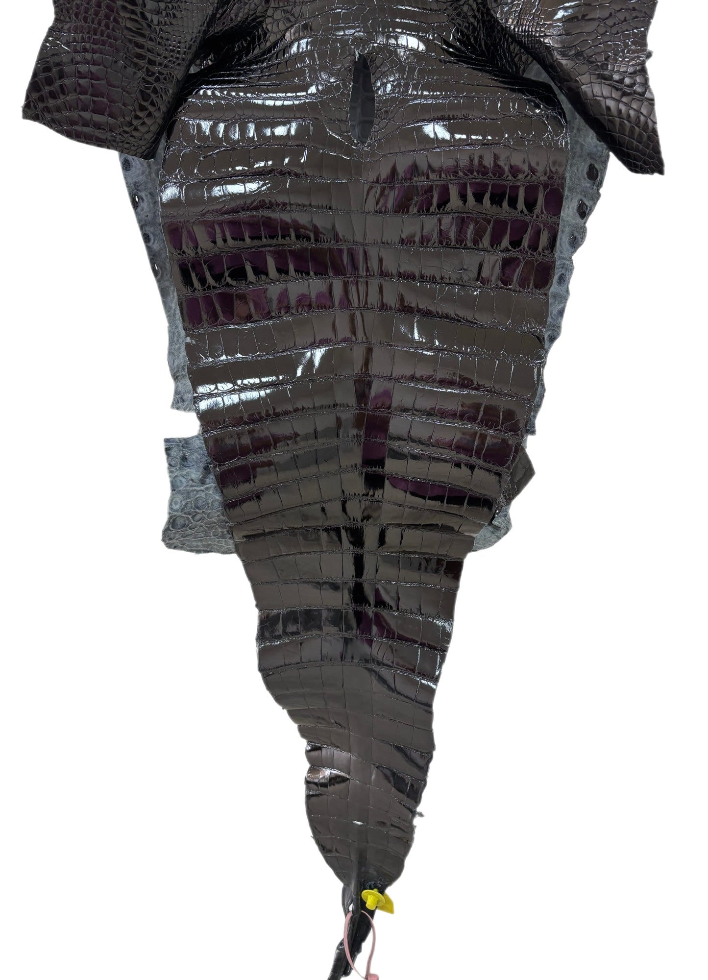 48 cm Grade 2/3 Black Classic Farm-Raised American Alligator Leather - Tag: FL14-0004022
