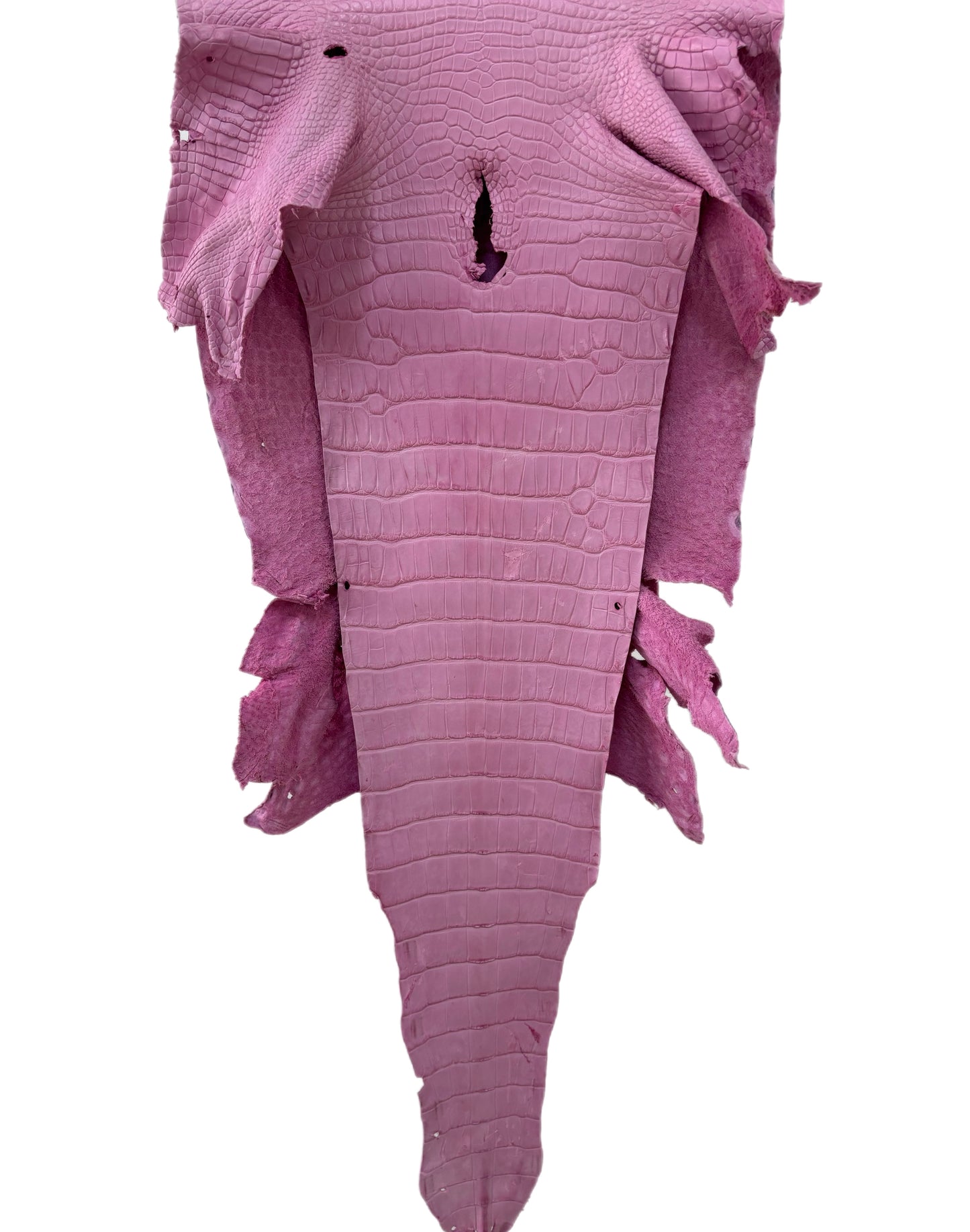 37 cm Grade 4/5 Cotton Candy Matte Wild American Alligator Leather - Tag: LA23-0014518
