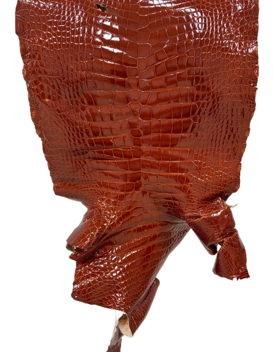 57 cm Grade 4/5 Peanut Glazed Wild American Alligator Leather - Tag: LA23-0030898