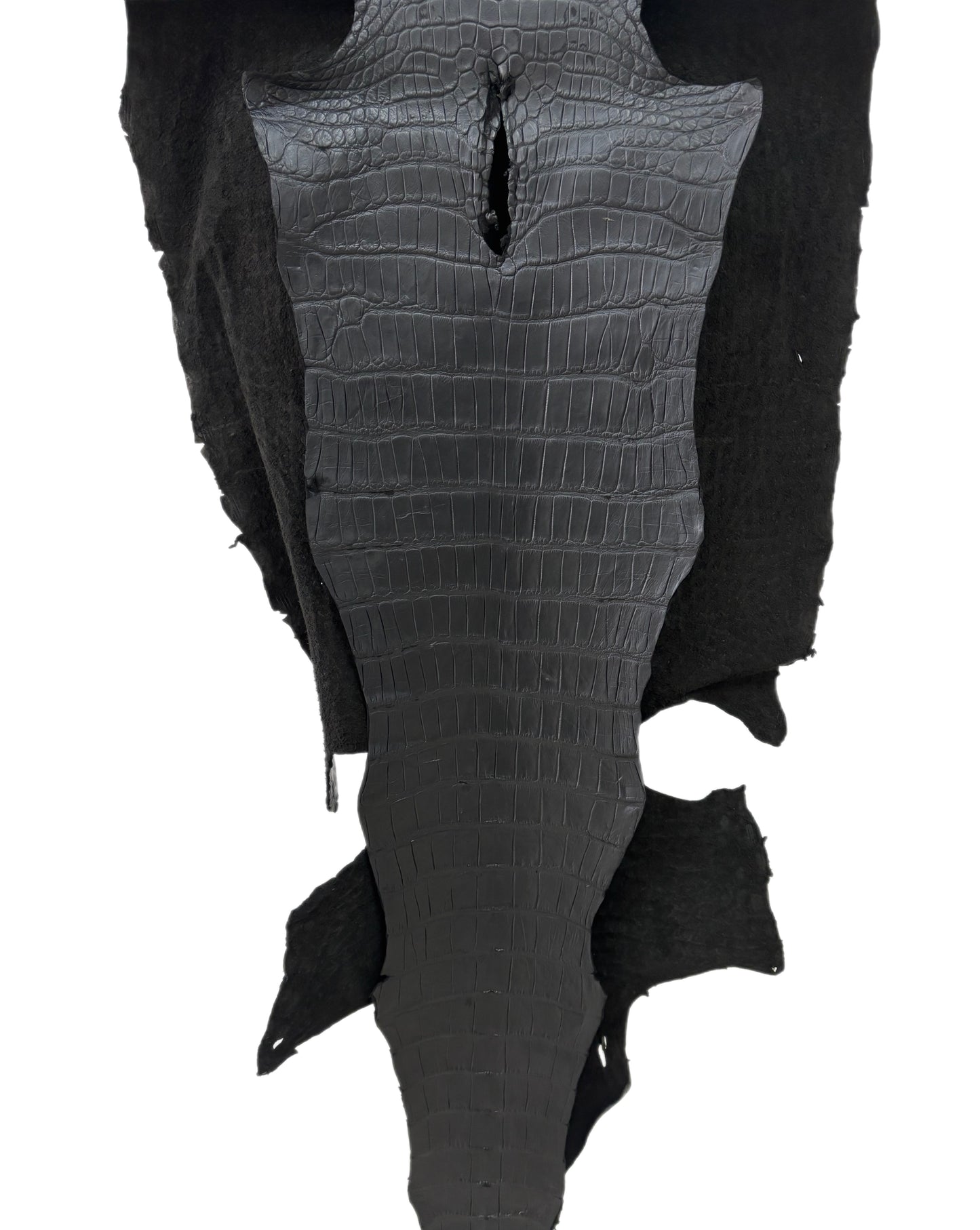 51 cm Grade 3/4 Black Matte Wild American Alligator Leather - Tag: LA22-0021561