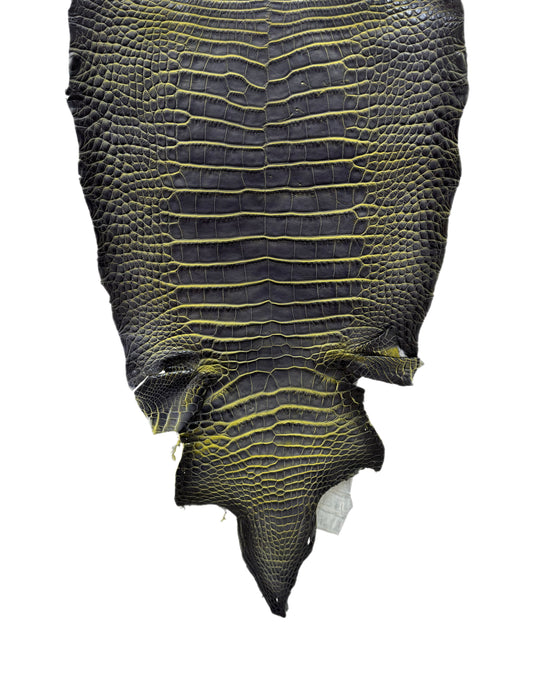 35 cm Grade 2/3 Voltage Matte Wild American Alligator Leather - Tag: ESRE-0050666