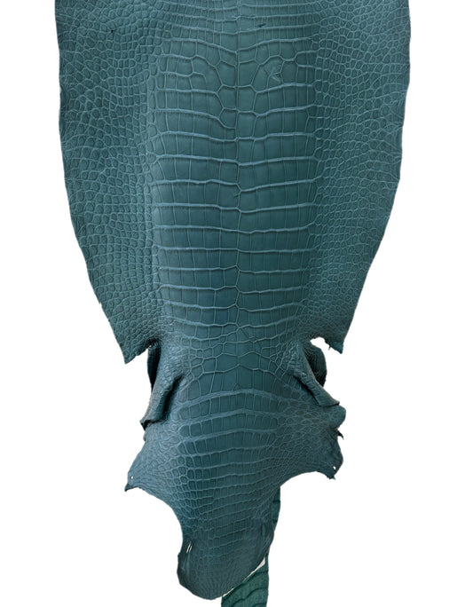 46 cm Grade 2/3 Teal Matte Wild American Alligator Leather - Tag: LA23-0024035